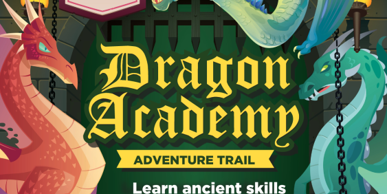 Dragon Academy Adventure Trail