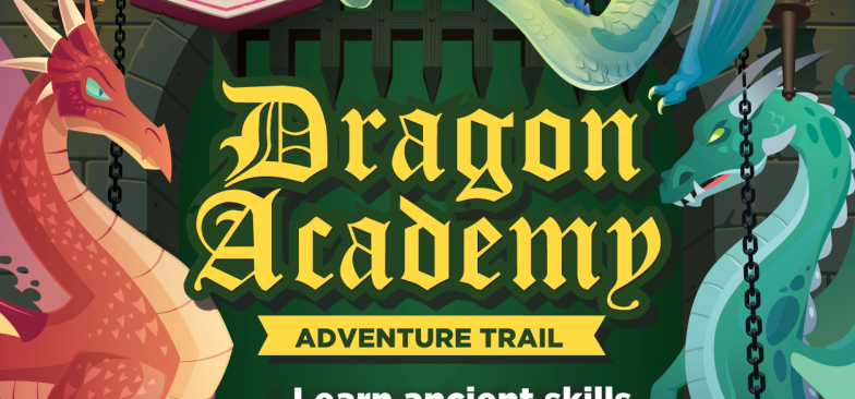 Dragon Academy Adventure Trail