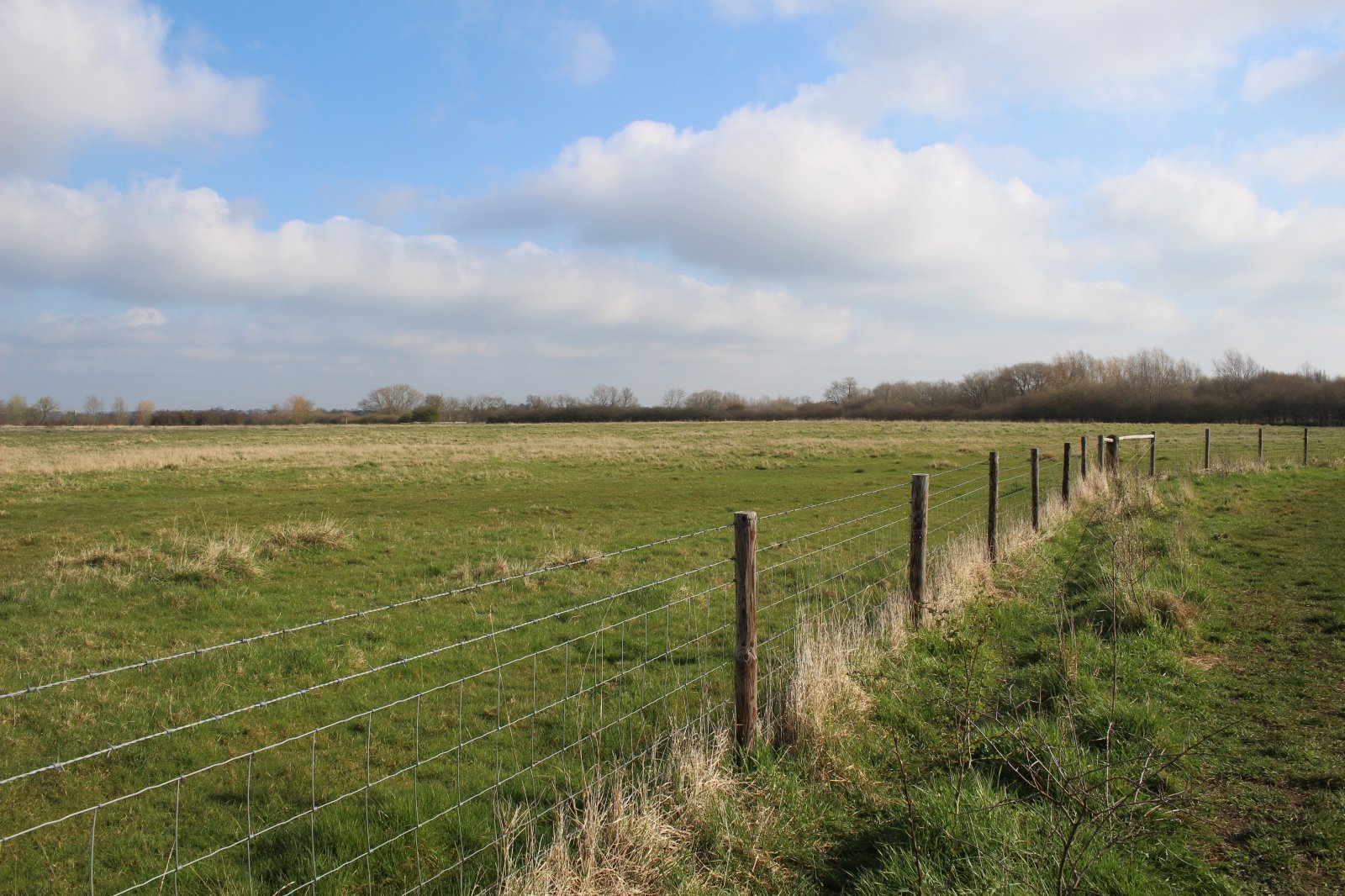 Cossington Meadows logo